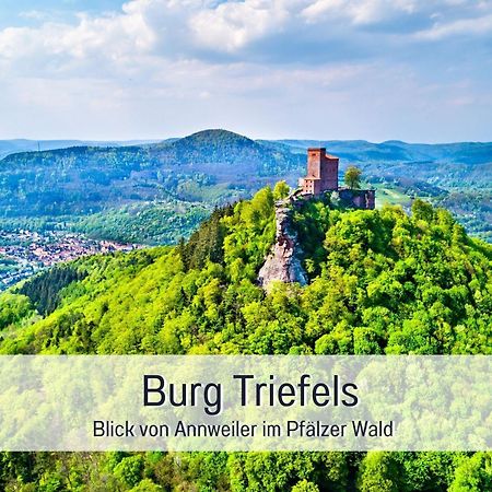 Winetime - Apartment Roschbach - Fuer Bis Zu 5 Personen - Idyllisch An Den Weinbergen Der Suedlichen Weinstrasse Zwischen Landau Und Neustadt Gelegen Buitenkant foto