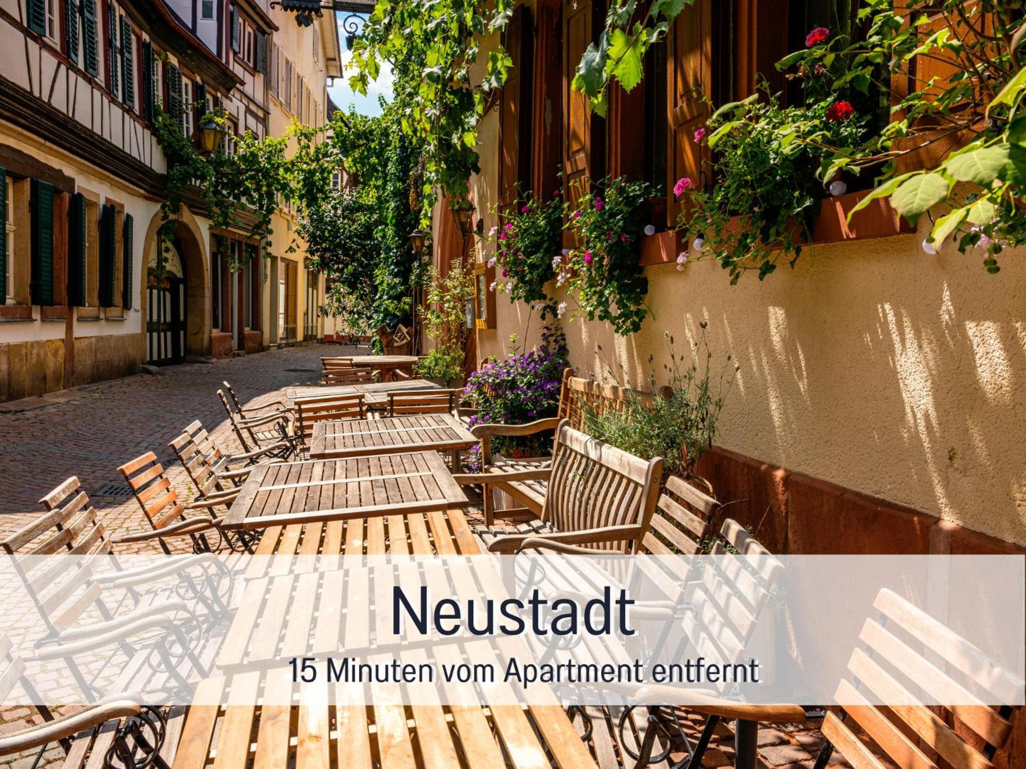 Winetime - Apartment Roschbach - Fuer Bis Zu 5 Personen - Idyllisch An Den Weinbergen Der Suedlichen Weinstrasse Zwischen Landau Und Neustadt Gelegen Buitenkant foto
